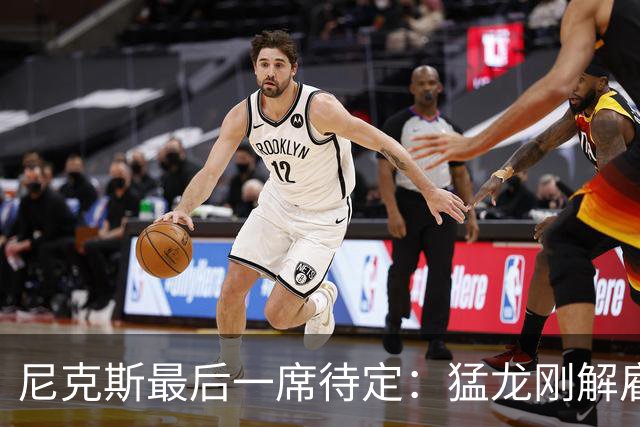 尼克斯最后一席待定：猛龙刚解雇的中锋或将重返纽约